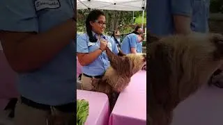 ZooKeeper Crash Course