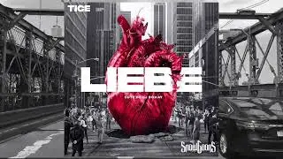 ‪@ticesound‬