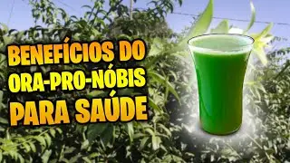 Descubra os 5 Surpreendentes Benefícios do ORA-PRO-NÓBIS para a sua Saúde