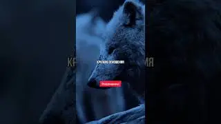 5 Книг Которые Тебе Нужно Прочесть