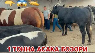 15 августа 2024 г АНДИЖОН АСАКА УЗБЕКСИТОН МОЛ БОЗОРИ НОВВОСЛАР НАРХЛАРИ ANDIJON SHAXRIHON CHÒJA MOL