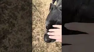 Старшие❤️