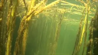 Шерубай Нура 12 07 2015. Снимаем старые сети.