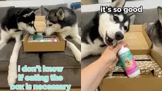 We got a fun package!