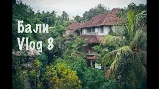 Бали. Vlog 8