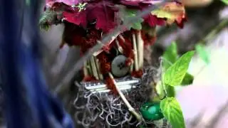 Canon 6D and EF 50mm f/1.4 Lens Test in Fae Garden