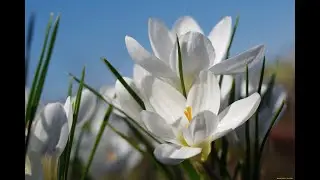 ЭТО ВЗГРЕВАЕТ КАК СТРАСТНЫЕ, ГОРЯЧИЕ, ЖАЖДУЩИЕ МУЖЧИНУ ЖЕНЩИНЫ! ЭТО ПРИТЯГИВАЕТ МЕНЯ КАК НАРКОТИК!