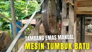 PROSES TUMBUK BATU EMAS
