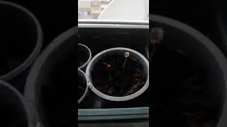 Кофе на подоконнике