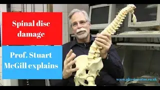 Back pain and disc injury - explained by Prof. Stuart McGill
