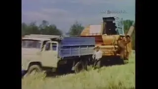1987 год. Уборочная страда в Витебской области.