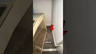 Il pensait que son animal de compagnie s'était enfui... mais c'est alors qu'il a vu ça 😳