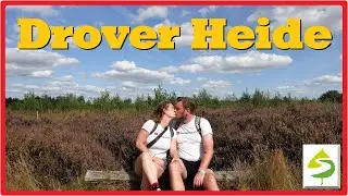 Die Drover Heide - Ein Juwel am Rande der Rureifel 🌺 [2,7K]