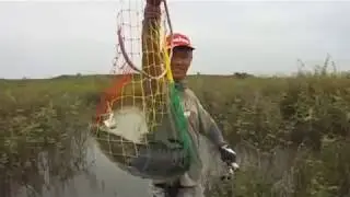 CATCHING A BIG TOMAN (WILD FISHING)