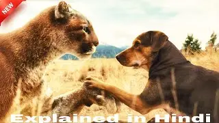 The Story of a Dog Raised by a Cat. Explained in Hindi #explainerrohit