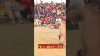 deva thapa kusti/dangal#kushti