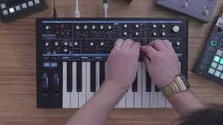 Bass Station II 4.14 - AFX Mode // Novation