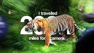 i travelled 203.1 miles for a camera.