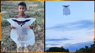How to Make an Owl Kite-from Coconut Sticks