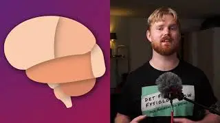 Hjernens opbygning