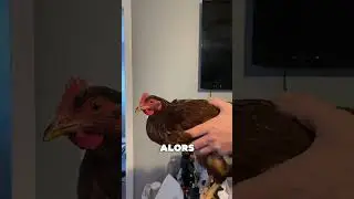 alors c'est du gaspillage ?