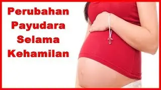 Perubahan Payudara Selama Kehamilan