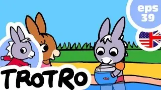 TROTRO ENGLISH -🐠 EP39🐠 - Trotro and the goldfish