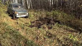 Поиск металла. Рельсы.Бывшее УЖД.