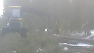 харвейстер валит лес