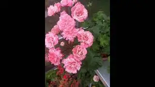ЮВ-Карфаген