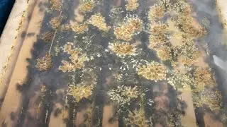 Arıcılık - Naylon örtü hakkında !!