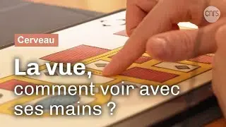 Voir avec ses mains | Reportage CNRS
