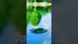 Хранить вас Бог!!!