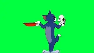 No copyright  green screen Tom and Jerry video