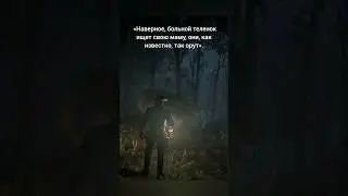 АСМР в RDR2 