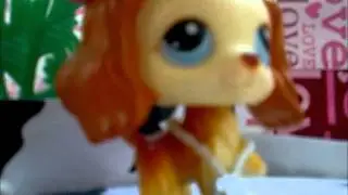 LPS react to:Girl making a duck face