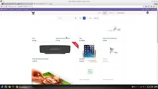 Odoo NumVerify Integration