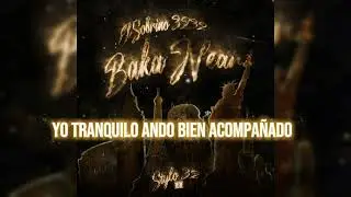 EL SOBRINO 3232 - BAKA NEAR | STYLO 32 II