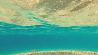 Al mar