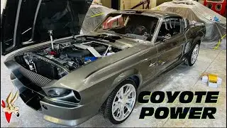 Mustang Fastback has Paint and Shelby wheels