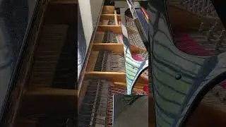 Malfunctioning Ghost Piano
