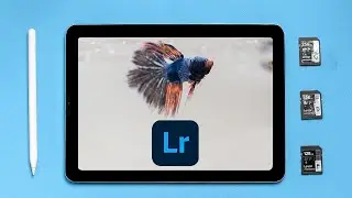 iPad Air GOOD Enough for Photo Editing on the Go?