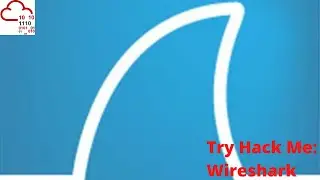 Try Hack Me: Wireshark 101
