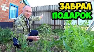 Жизнь в деревне || Перевезли б/у шифер || Перевернул сено и сложил его в валки || Забрал подарок