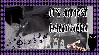 1693) It’s Almost Halloween 🤡🎃