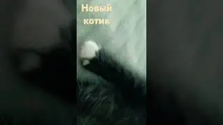 19 мая 2024 г.