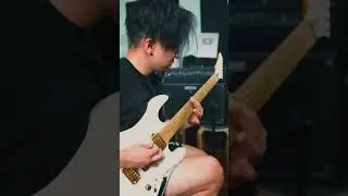 Who wants to see me perform this on my next tour? 🤘 #guitar #music #amrabir #kiesel #breakdown