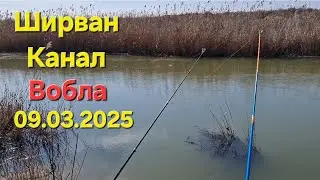Открытие сезона воблы. Рыбалка на канале