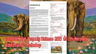 การกรอกข้อมูล Property Release 2021 ส่ง Shutterstock ด้วยโปรแกรม Photoshop