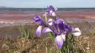 Ветер и волны